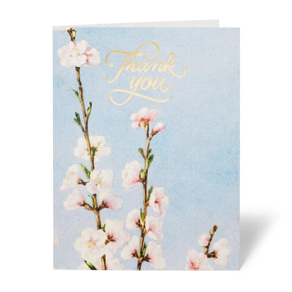 Outlet The Met Store American Florals Thank-You Cards