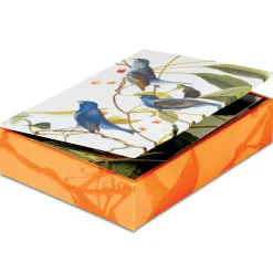 Hot The Met Store Audubon Birds Notecards