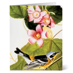 Hot The Met Store Audubon Birds Notecards