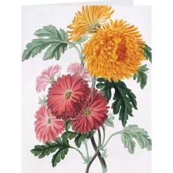 Outlet The Met Store Botanical Illustrations Notecards