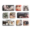 Clearance The Met Store Cats Museum Magnets