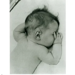 Sale The Met Store Lullabies Songbook and CD