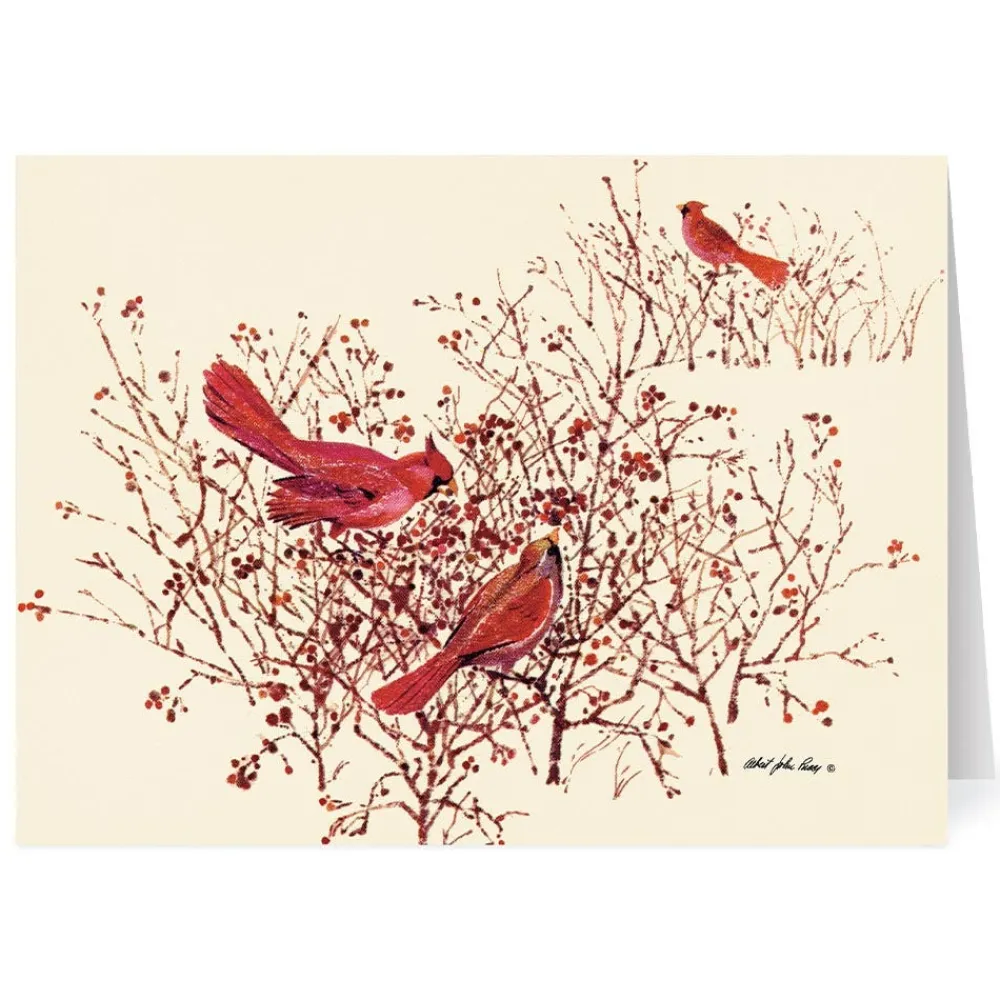 Clearance The Met Store Pucci: Bushes, Berries, and Birds Holiday Cards