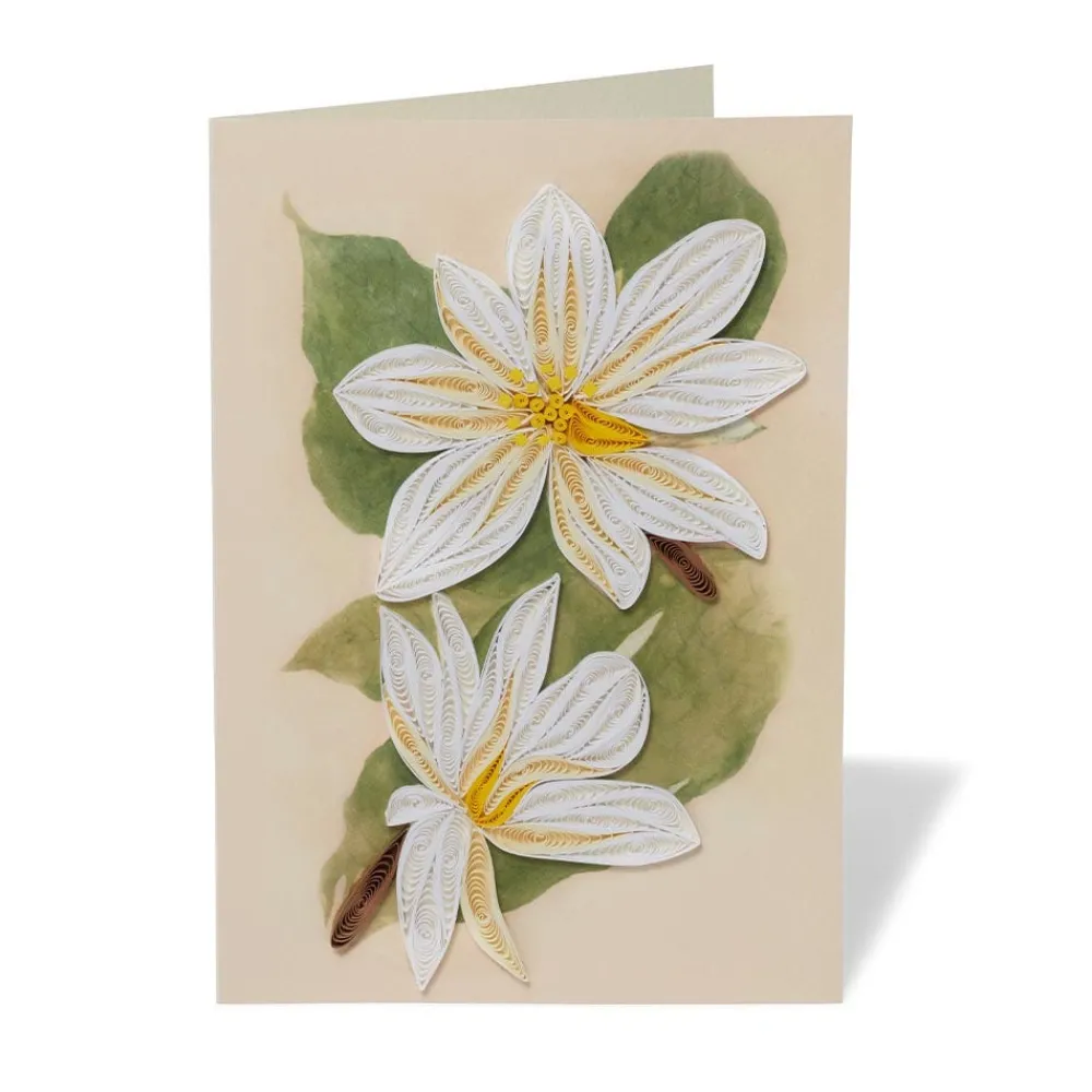 Online The Met Store Studies of Magnolias Quilled Card
