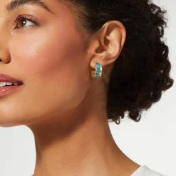 Discount The Met Store Van Gogh Irises Enamel Hoop Earrings